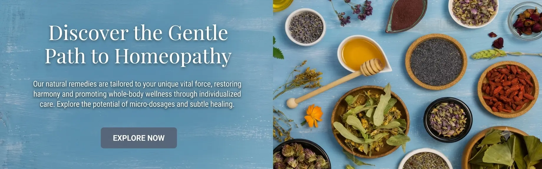 discover-homeopathy